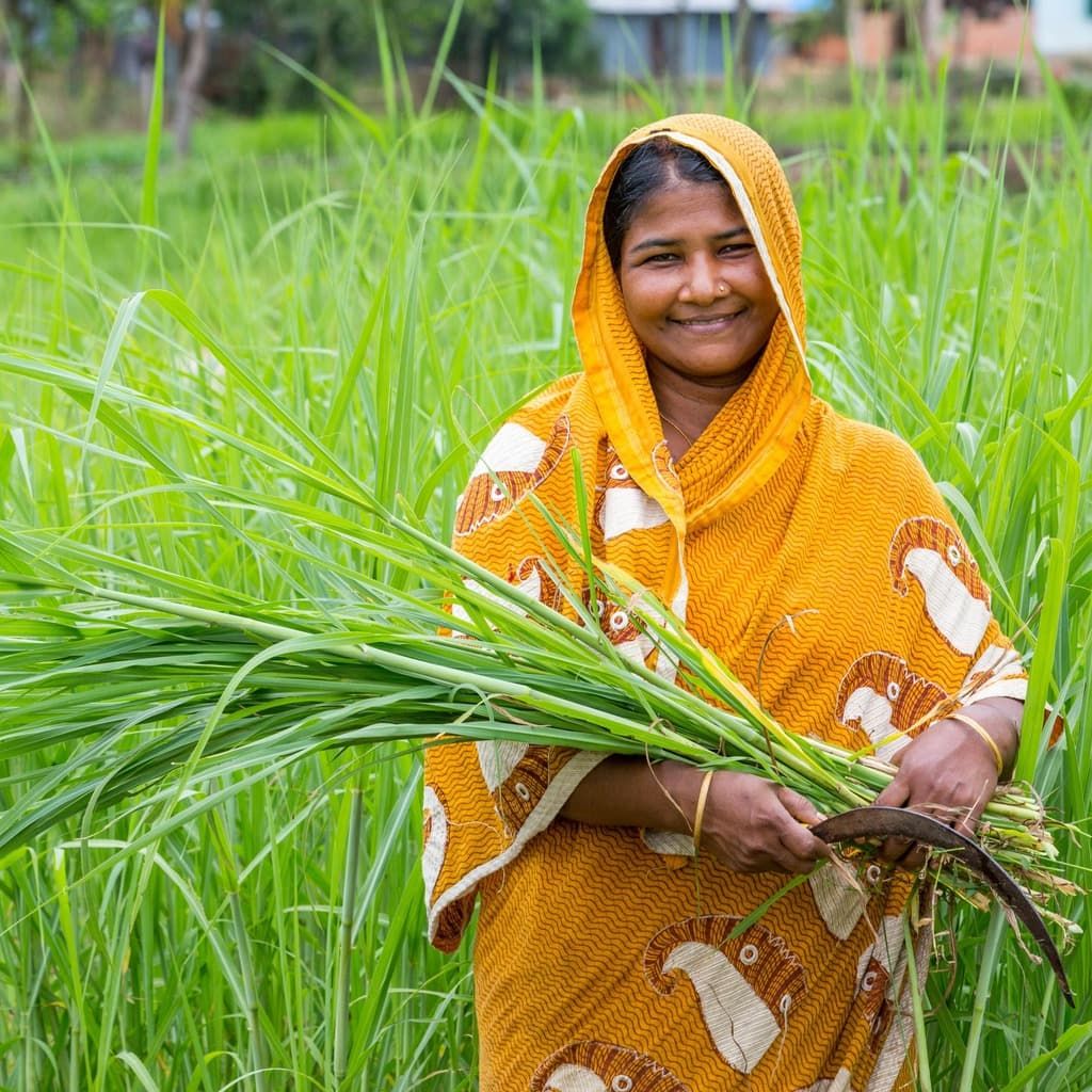 Term Life Insurance visual