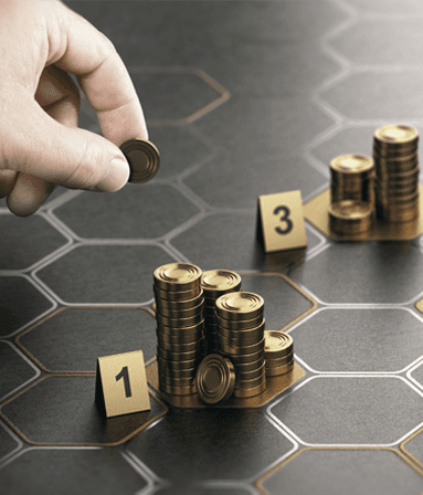 Shanta Asset Management
