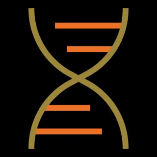 Critical Illness Coverage