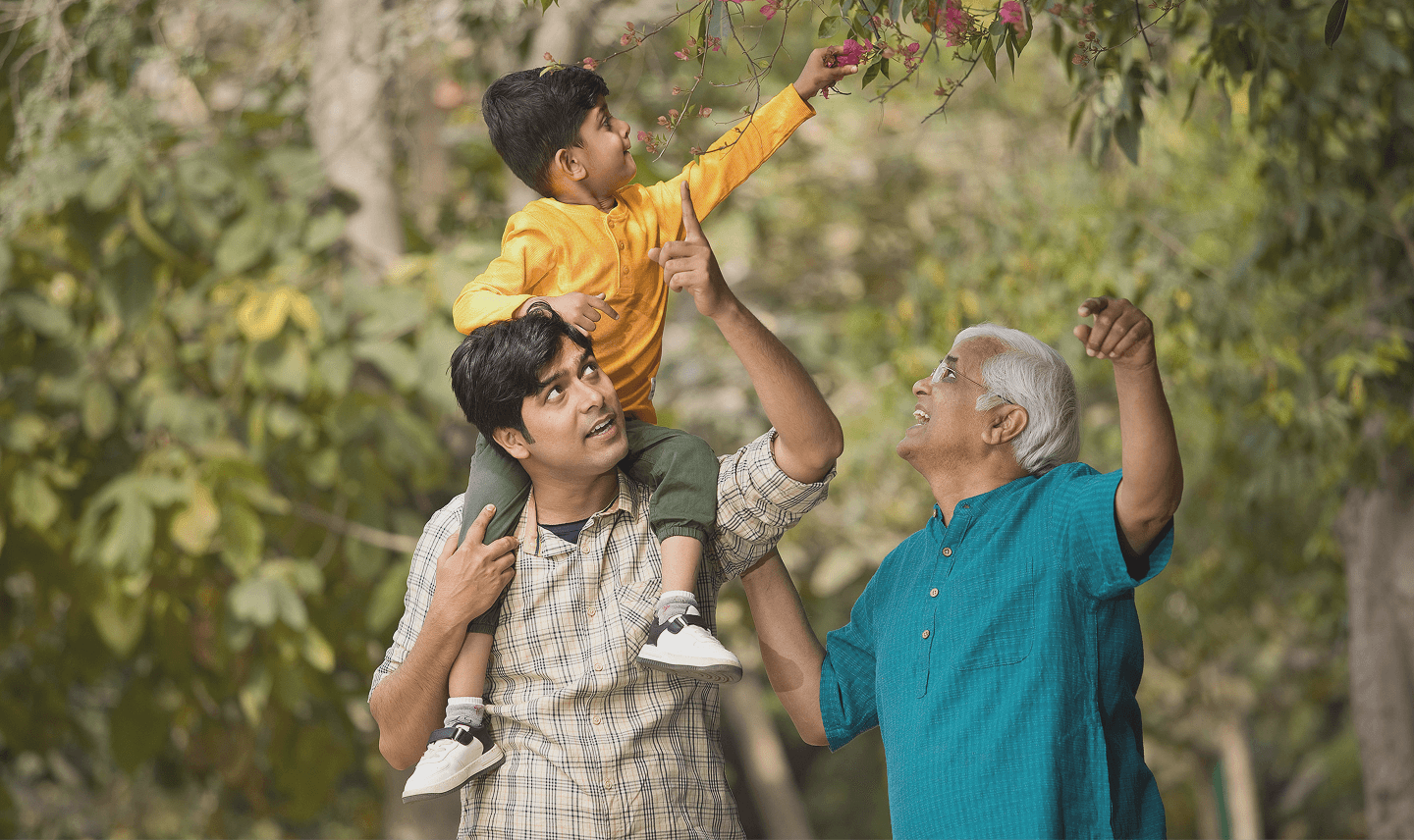 Shanta Multi-Stage Maturity Plans